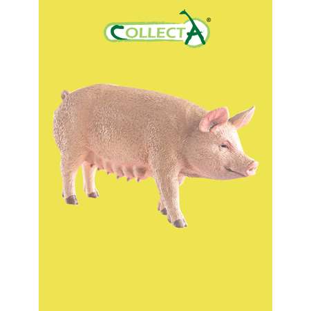 Игрушка Collecta Свинья фигурка животного