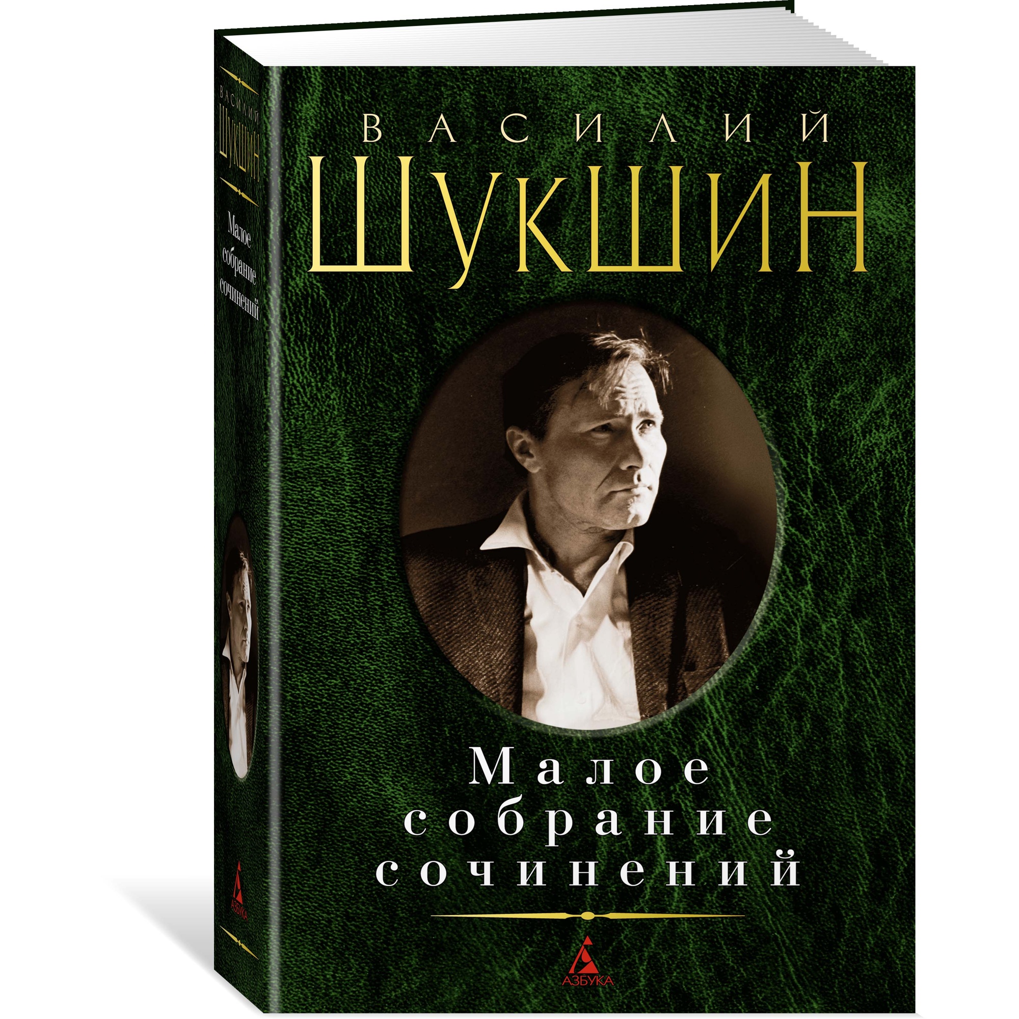 Книга АЗБУКА Малое собрание сочинений Шукшин В. Малое собрание сочинений - фото 2