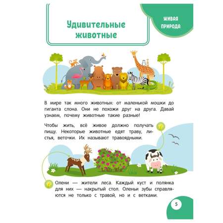 Книга Эксмо Моя первая книга открытий от 4лет