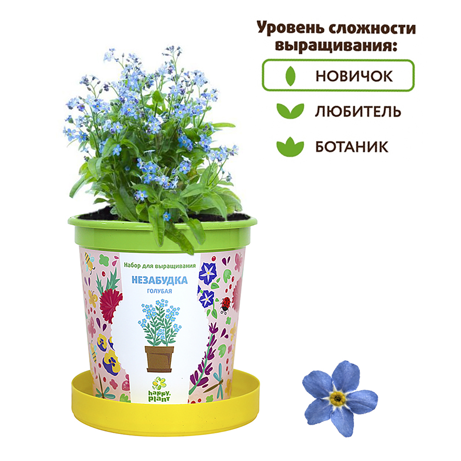 Набор для выращивания Happy Plant Вырасти сам растение в горшочке Незабудка  голубая купить по цене 335 ₽ в интернет-магазине Детский мир