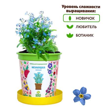 Набор для выращивания Happy Plant Вырасти сам растение в горшочке Незабудка голубая