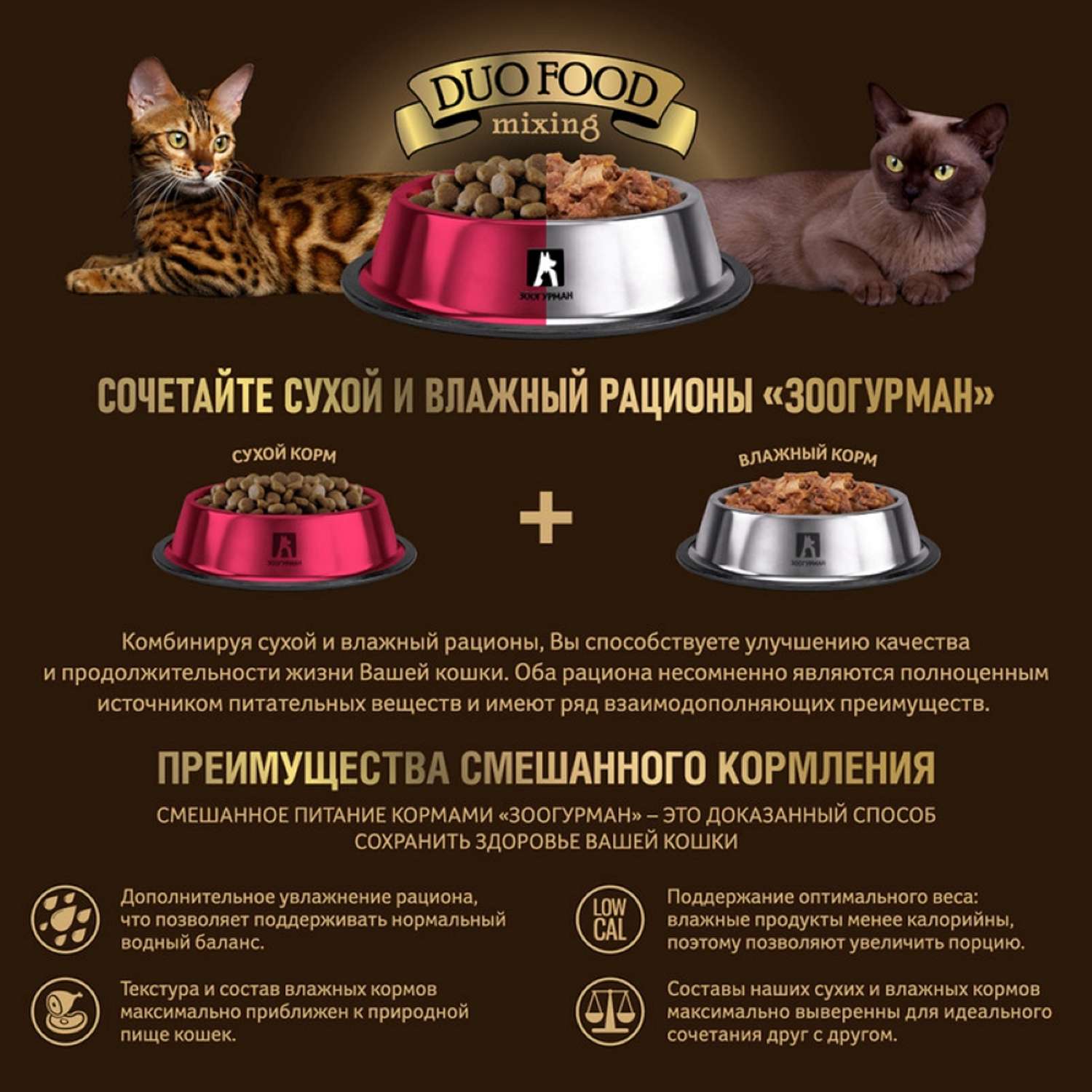 Корм сухой Зоогурман Полнорационный сухой корм для кошек Active Говядина и индейка 2.5 кг - фото 2
