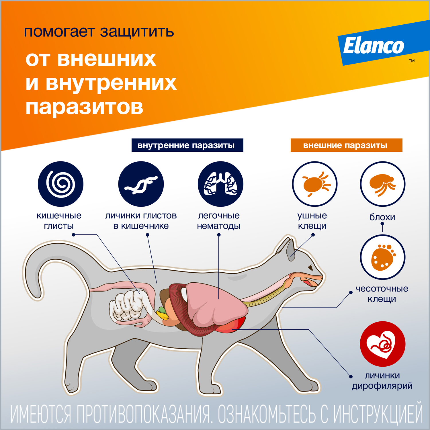 Капли для кошек Elanco Адвокат от 4 до 8кг антипаразитарные 1пипетка купить  по цене 790 ₽ с доставкой в Москве и России, отзывы, фото