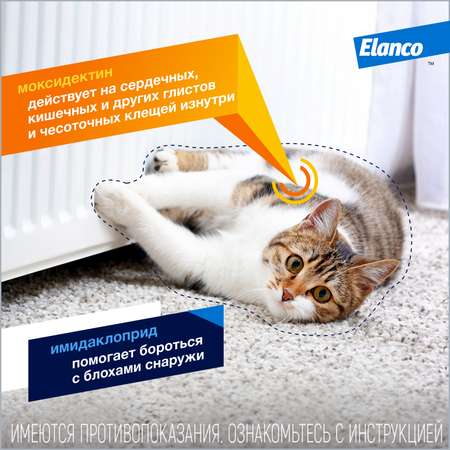 Препарат инсектоакарицидный для кошек Elanco Адвокат 0.4мл 3пипетки