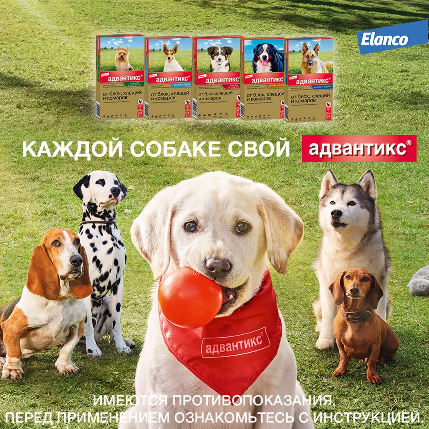 Препарат инсектоакарицидный для собак Elanco Адвантикс 2.5мл 4пипетки - фото 9