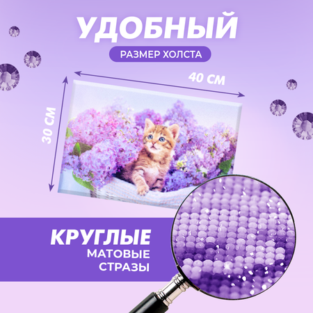 Алмазная мозаика Solmax Лавандовый котенок на подрамнике 30х40см