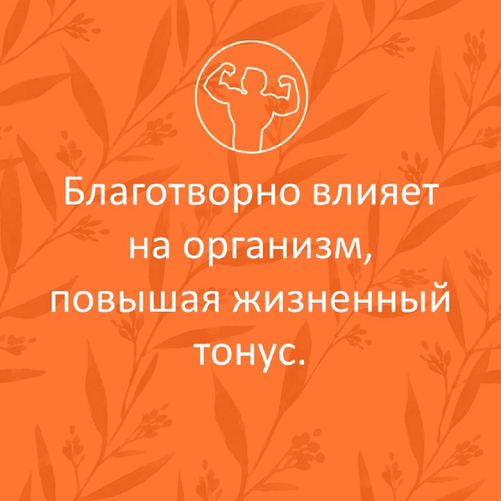 Сироп имбирный ФИТА-ВИТА-МИКС Премиум с куркумой и пиперином 100 мл - фото 5