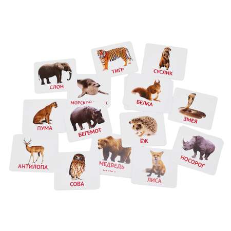 Развивающие обучающие карточки Крокуспак Дикие животные 45 шт - настольная игра для детей