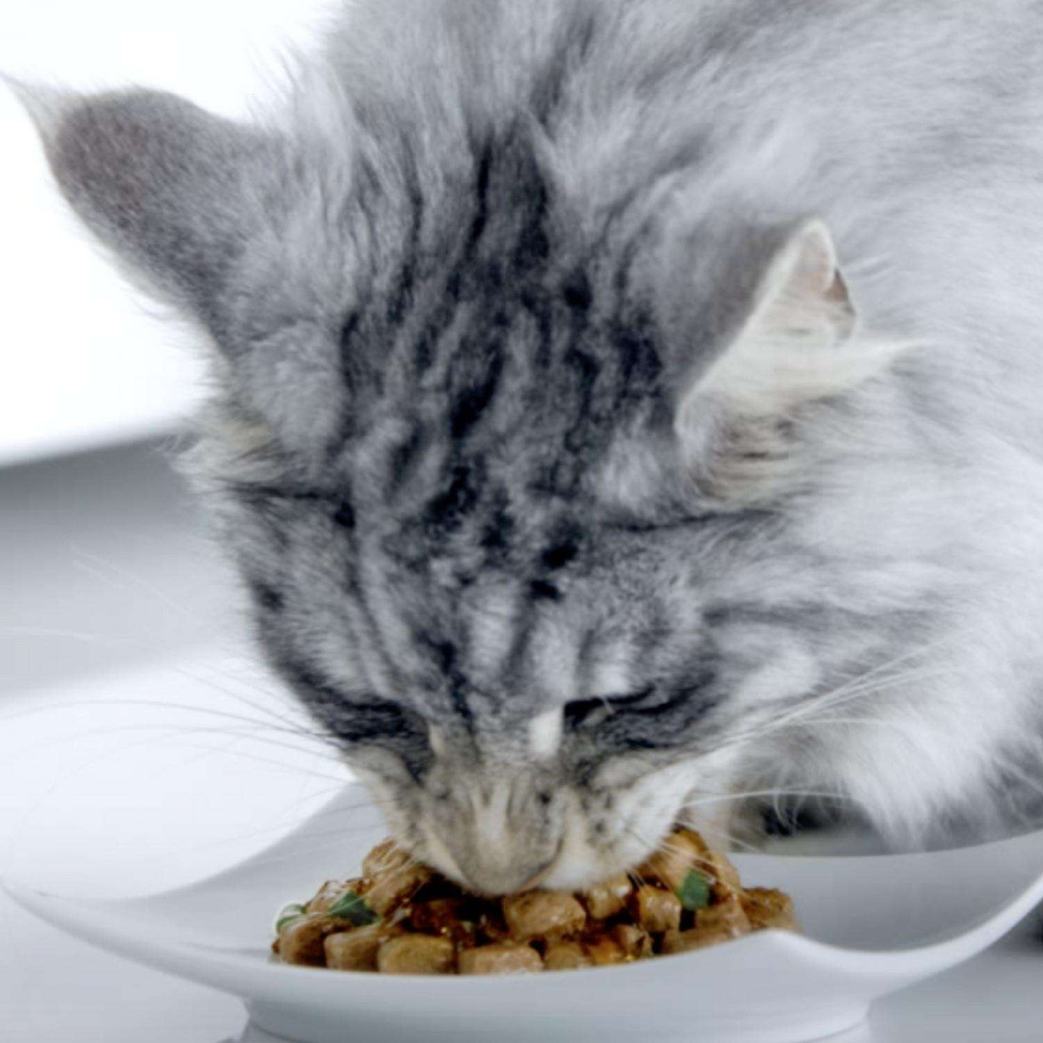 Корм для кошек Purina One чувствительное пищеварение курица 75г - фото 10