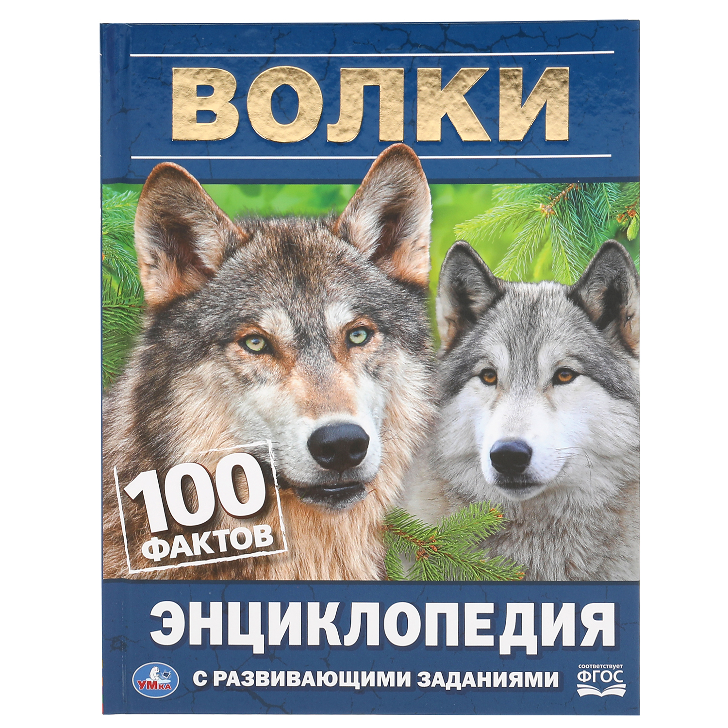 Книга УМка Волки. 100 фактов купить по цене 187 ₽ в интернет-магазине  Детский мир