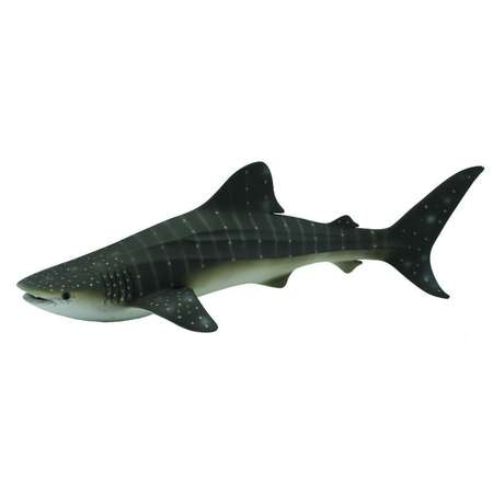 Фигурка Procon (Asia) Ltd Китовая акула XL