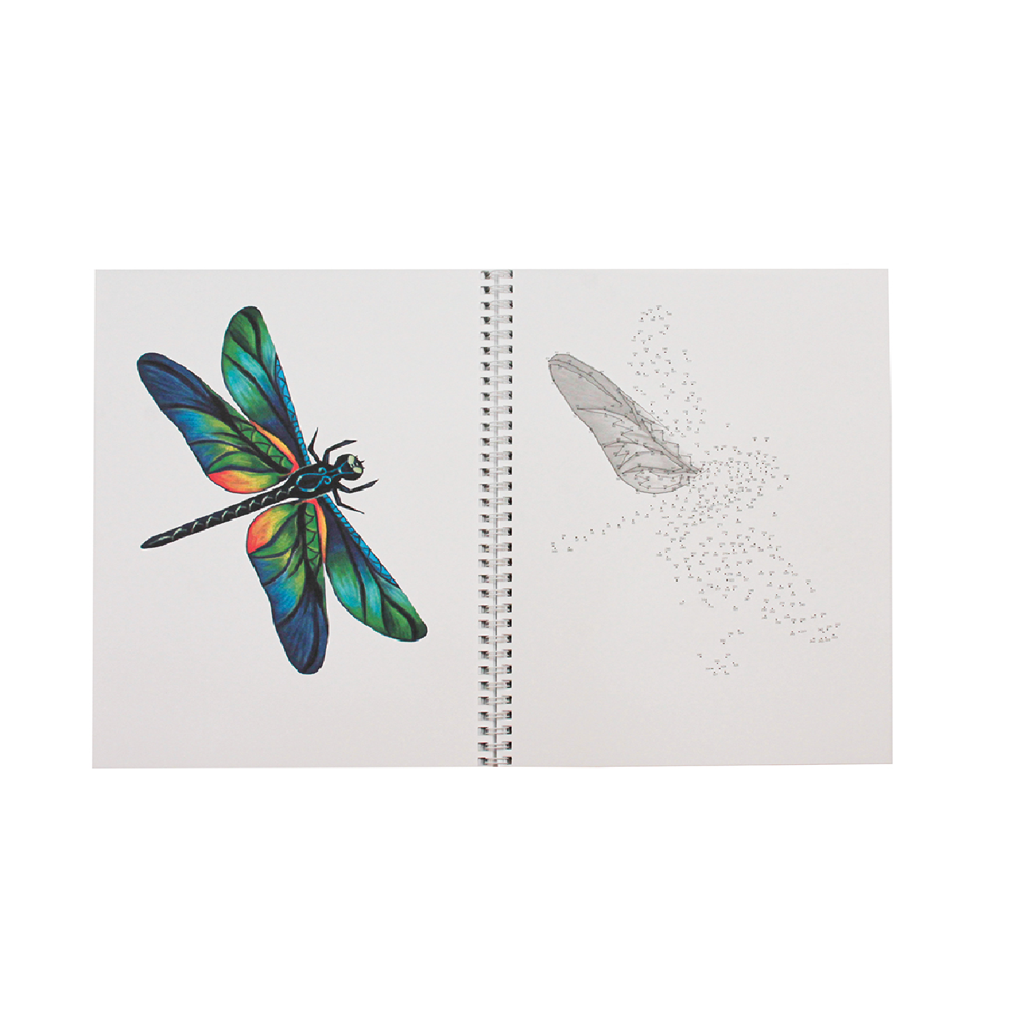 Альбом для рисования Prof-Press Рисуем от точки к точке Птицы бабочки стрекозы 32 листа - фото 2