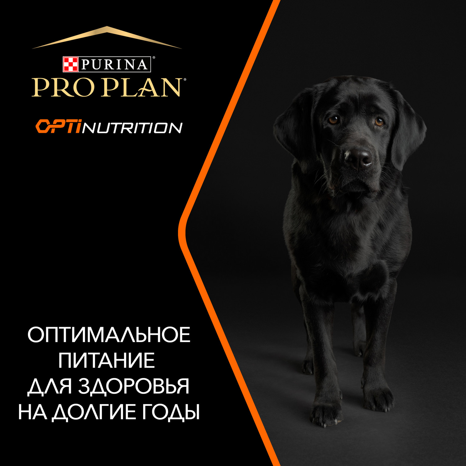 Корм для собак PRO PLAN крупных пород с атлетическим телосложением с комплексом Optibalance с высоким содержанием курицы 14кг - фото 6