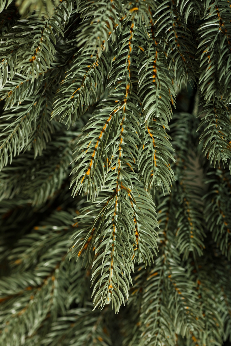 Елка Crystal Trees Эмили Серо-Голубая 60 См. - фото 2