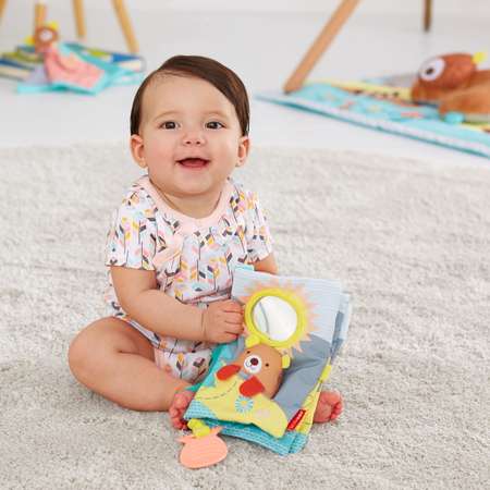 Игрушка Skip Hop книжка