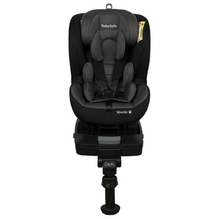 Автокресло Babysafe Isofix 0+/1 (0-18 кг)