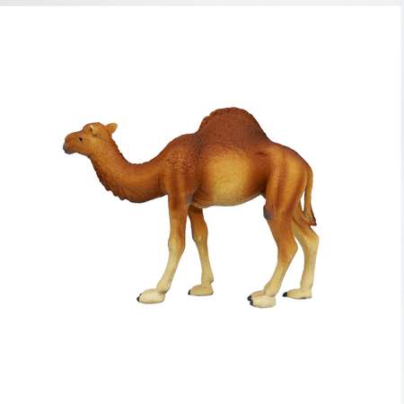 Фигурка животного Детское Время Одногорбый верблюд породы Дромадер