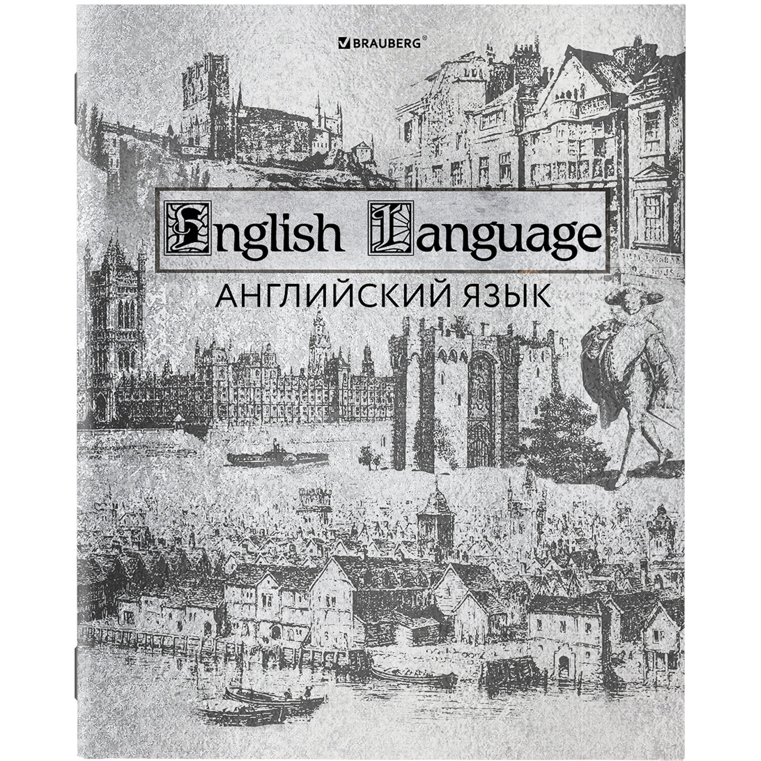 Тетради предметные Brauberg Silver со справочным материалом в клетку/линейку 12 шт 48 л - фото 13