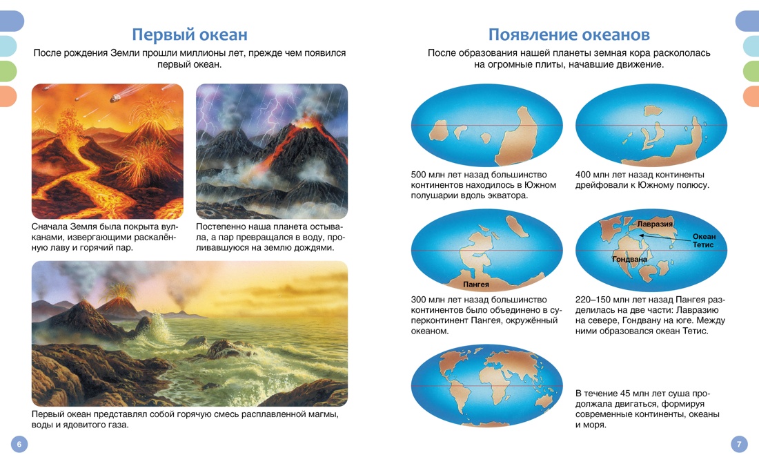 Книга Махаон Море и его обитатели - фото 10