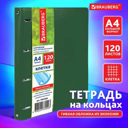 Тетрадь на кольцах Brauberg со сменным блоком для учебы А4 120 листов в клетку