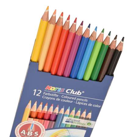 Карандаши цветные Staedtler Noris Club 12 цветов