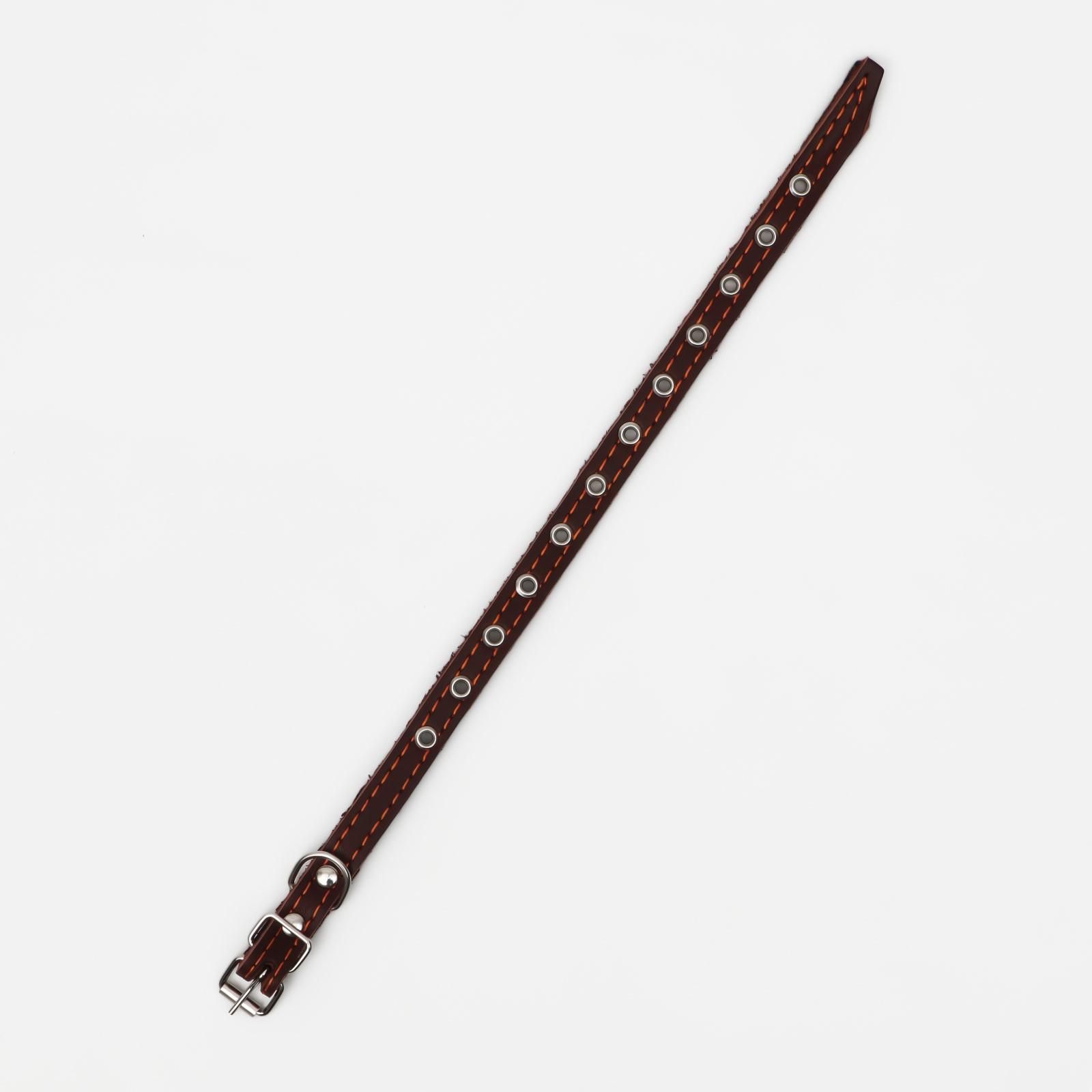 Ошейник Пижон кожаный на синтепоне безразмерный 37 х 1.5 см коричневый - фото 3