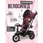 Велосипед трехколесный ZigZag PREMIUM бордовый