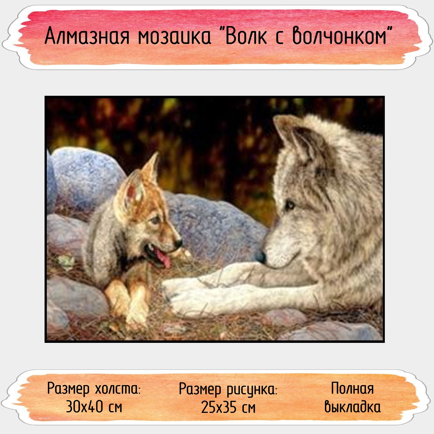 Алмазная мозаика Seichi Волк с волчонком 30х40 см купить по цене 164 ₽ в  интернет-магазине Детский мир