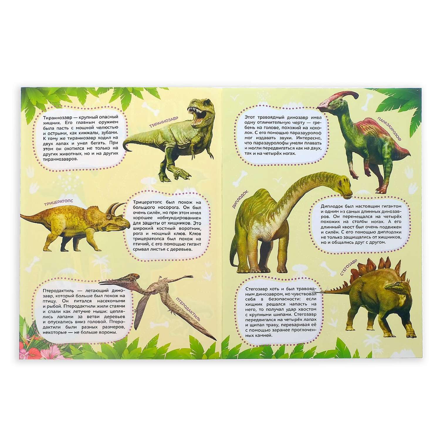 Набор книг с наклейками Буква-ленд «Энциклопедии о динозаврах и космосе» набор 2 шт. по 8 стр. формат А4 - фото 2