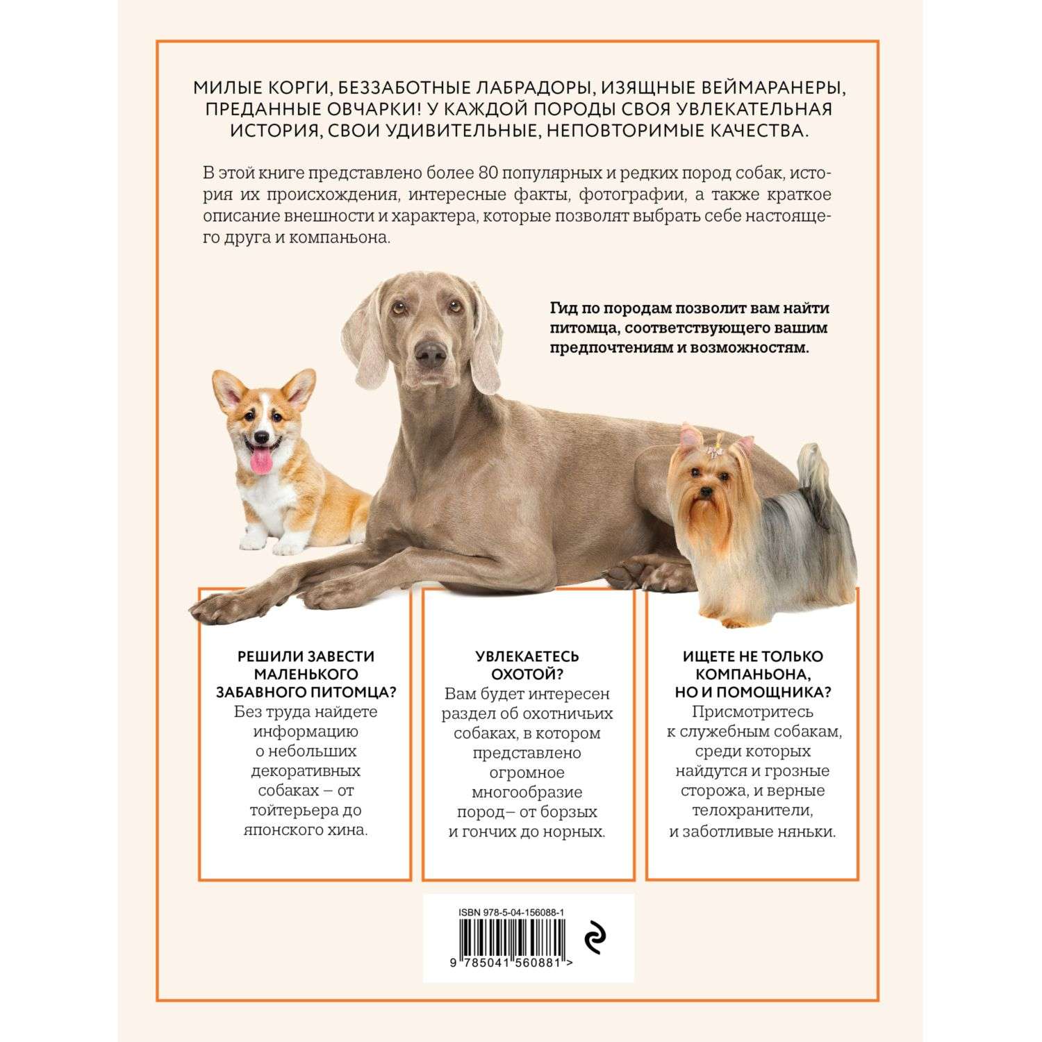 Книга Эксмо Собаки Иллюстрированный гид по самым популярным породам - фото 2
