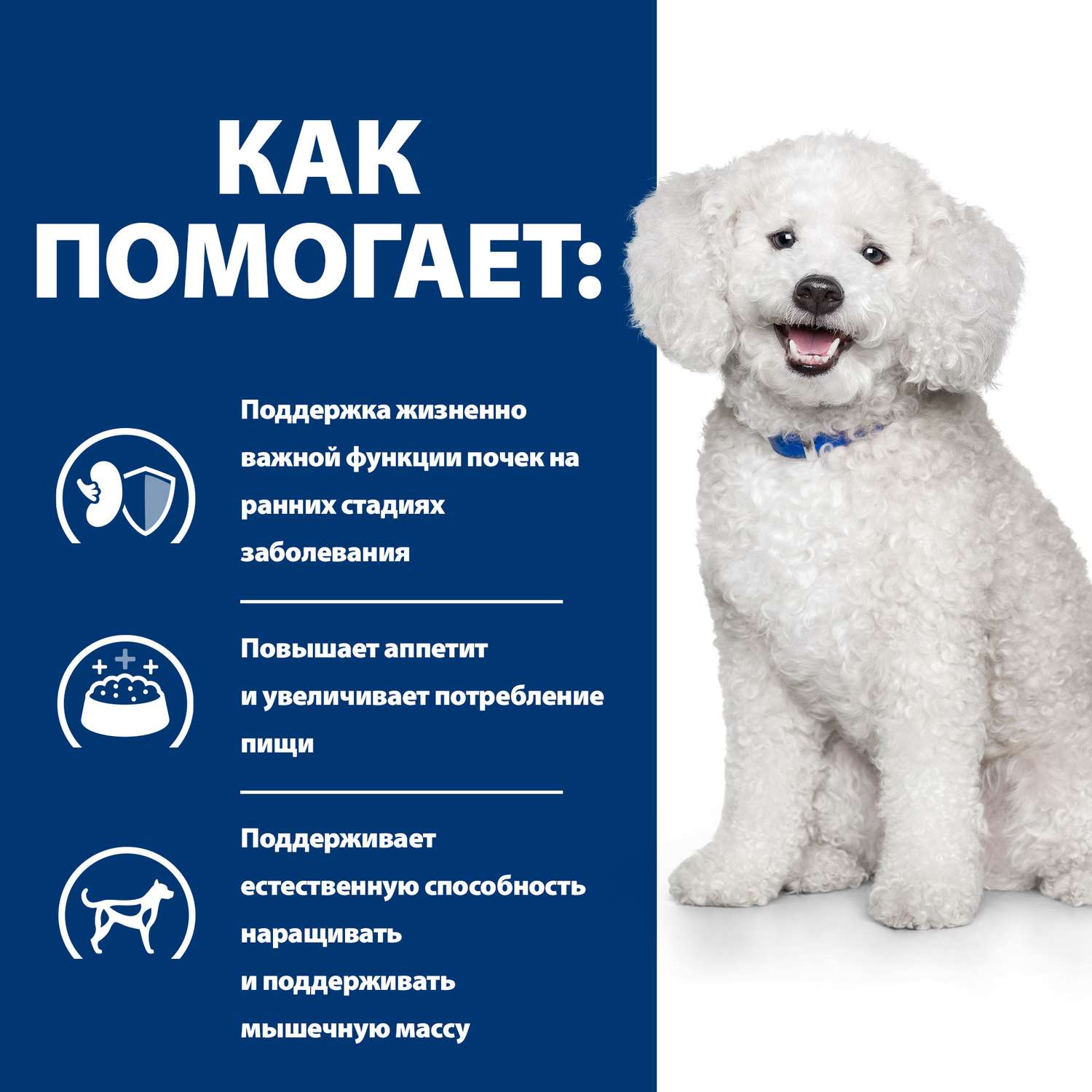 Корм для собак HILLS 1.5кг Prescription Diet k/d Early Stage при ранней стадии болезни почек сухой - фото 5