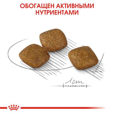 Сухой корм для собак ROYAL CANIN 3 кг (полнорационный)