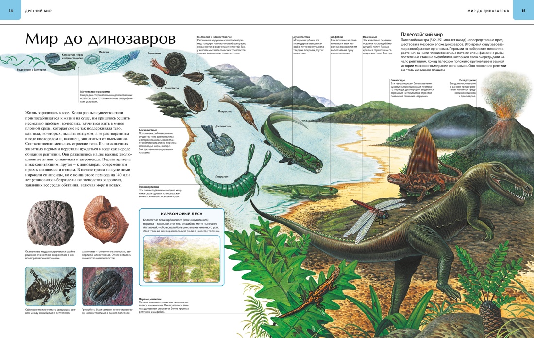 Книга Махаон Динозавры Иллюстрированный атлас - фото 5