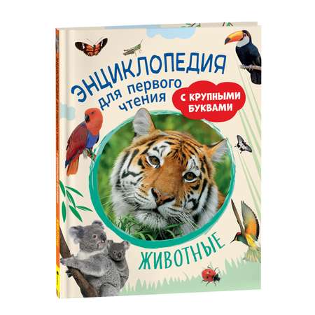 Книга Животные Энциклопедия для первого чтения с крупными буквами