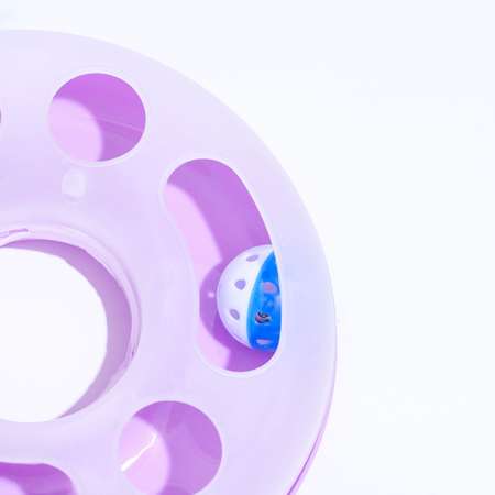 Игровой комплекс Пижон Загадочный круг с дразнилкой и шариком 25х25х20 см фиолетовый