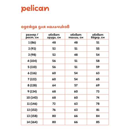 Шорты Pelican