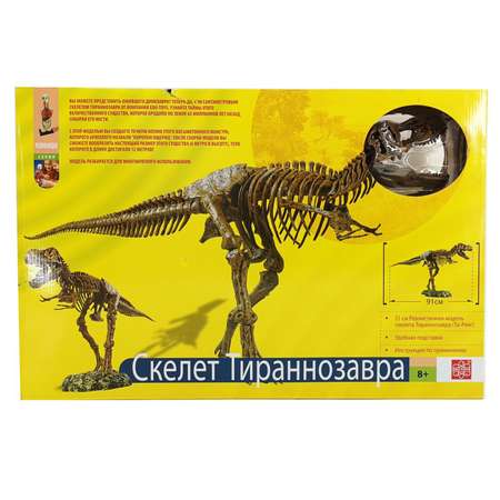 Набор EDU-TOYS скелет динозавра 91см