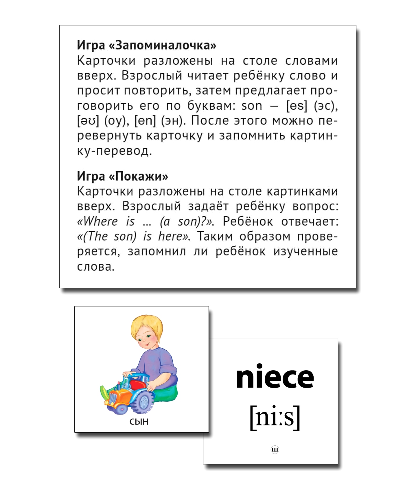 Развивающие карточки ТЦ Сфера Запоминай английские слова FAMILY СЕМЬЯ  купить по цене 243 ₽ в интернет-магазине Детский мир