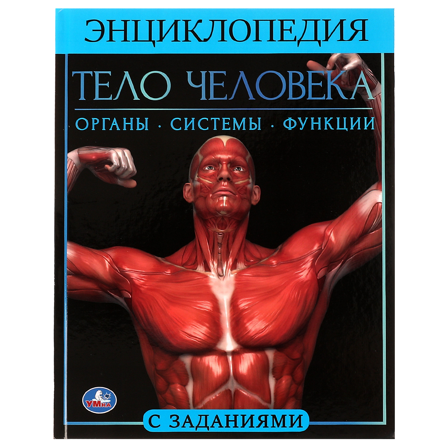 Энциклопедия УМка Тело человека. Энциклопедия - фото 1