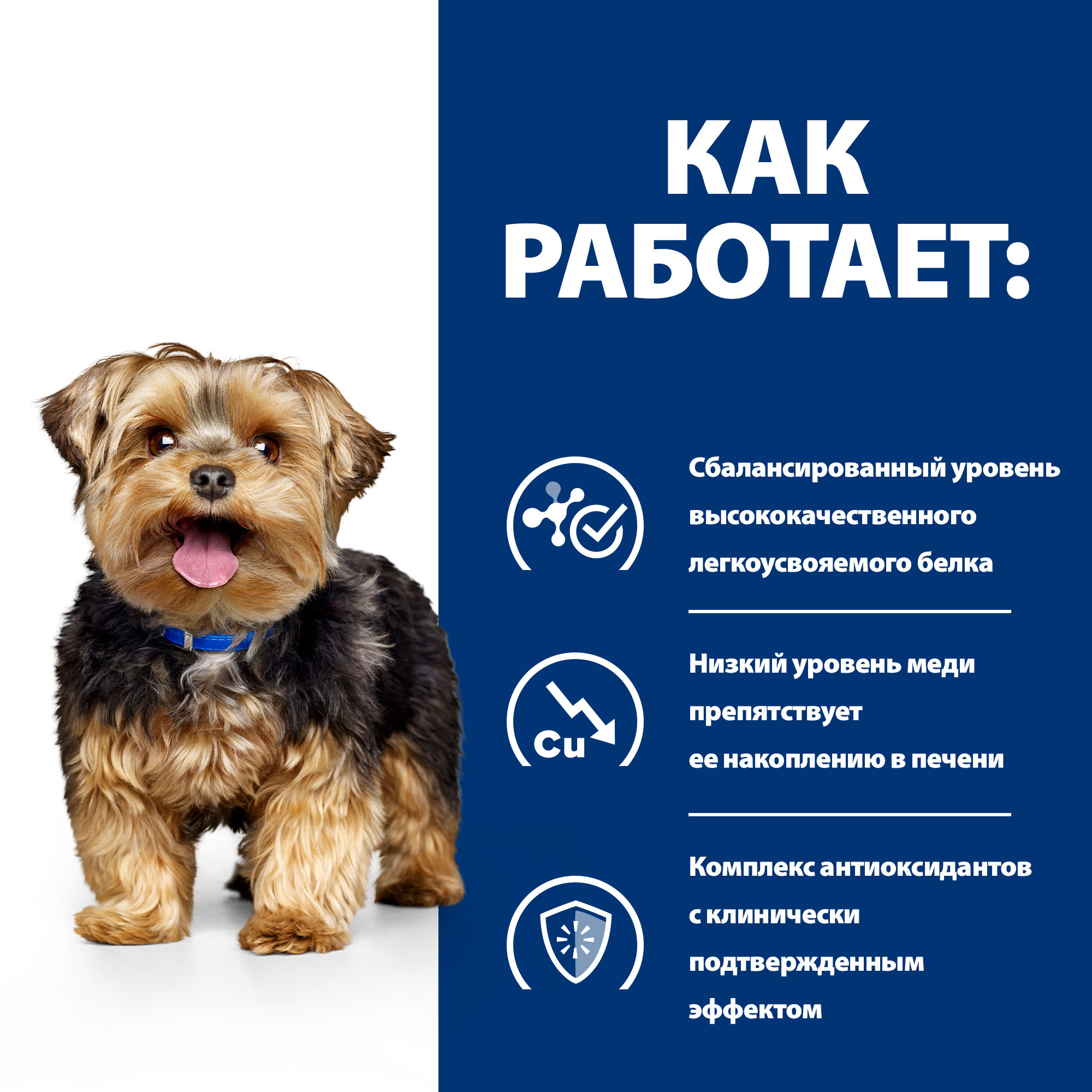 Корм для собак Hills 1.5кг Prescription Diet l/d диетический при заболеваниях печени - фото 3