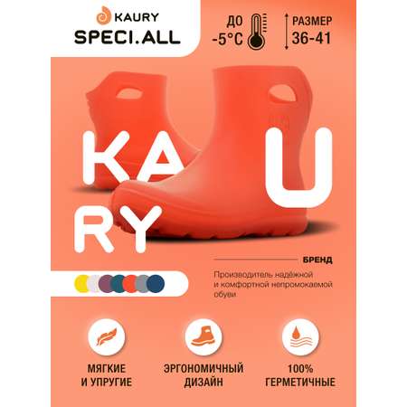 Резиновые сапоги KAURY