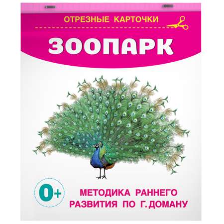 Книга карточки для малышей Зоопарк