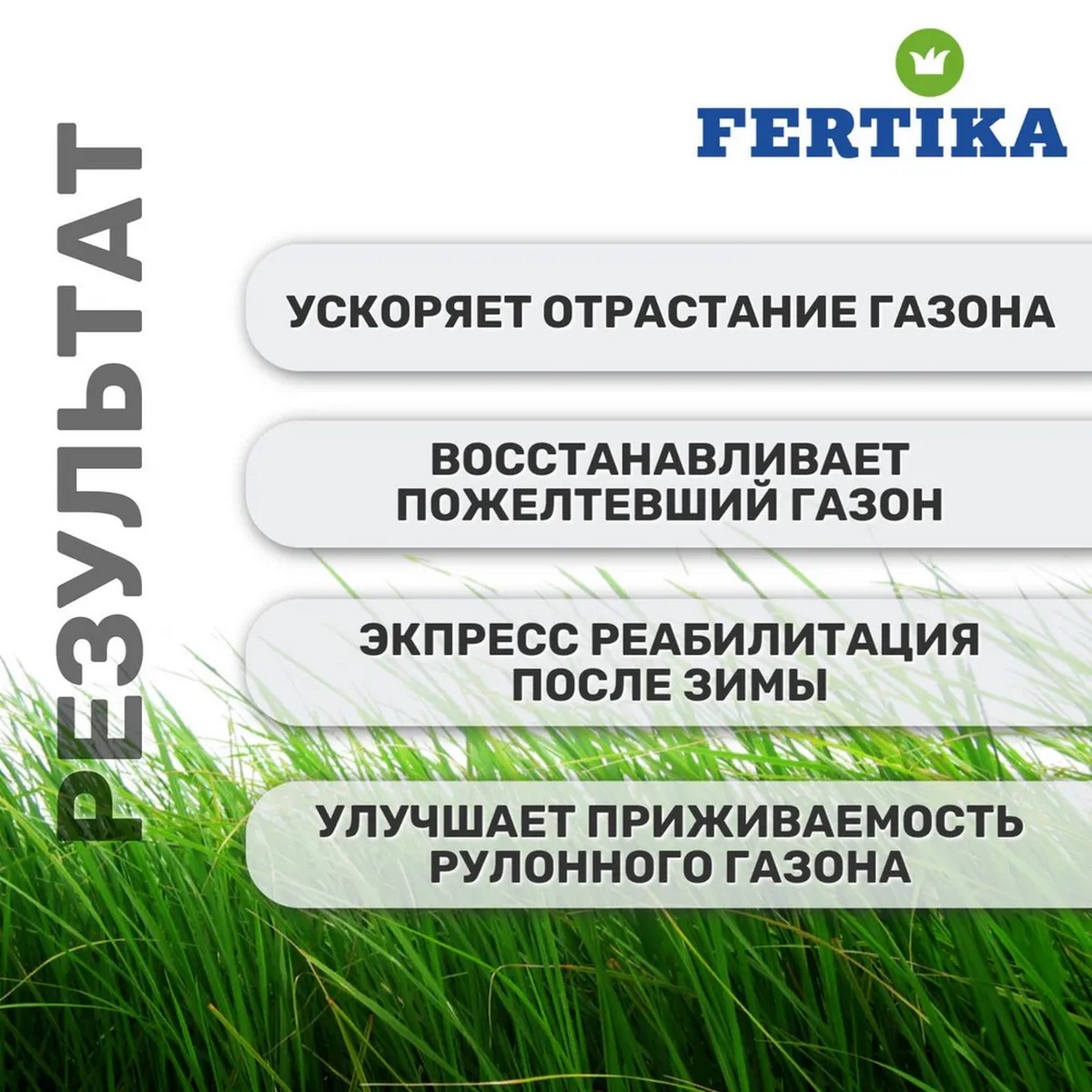 Комплекс по уходу за газоном FERTIKA 800г + 50г семян для подсева в подарок - фото 3