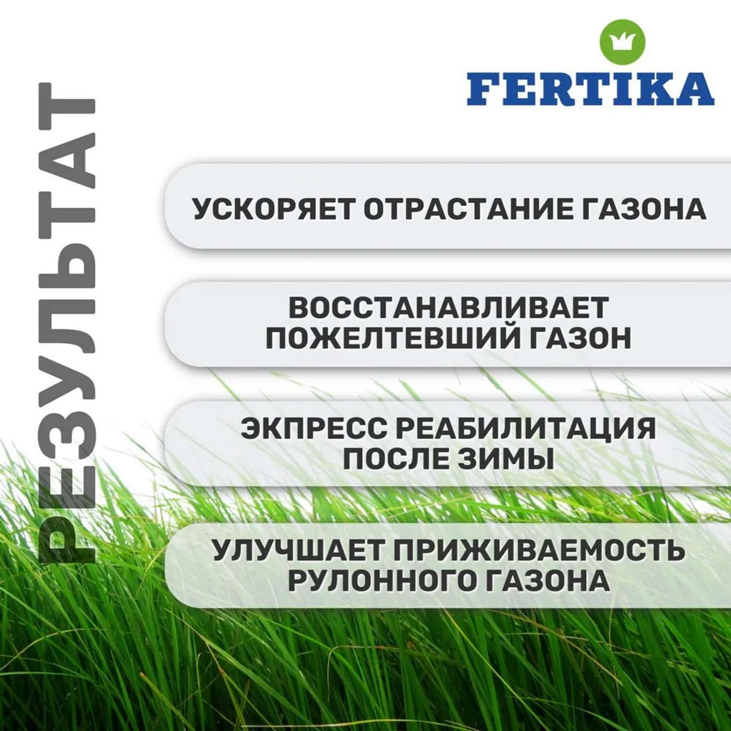 Комплекс по уходу за газоном FERTIKA 800г + 50г семян для подсева в подарок - фото 3