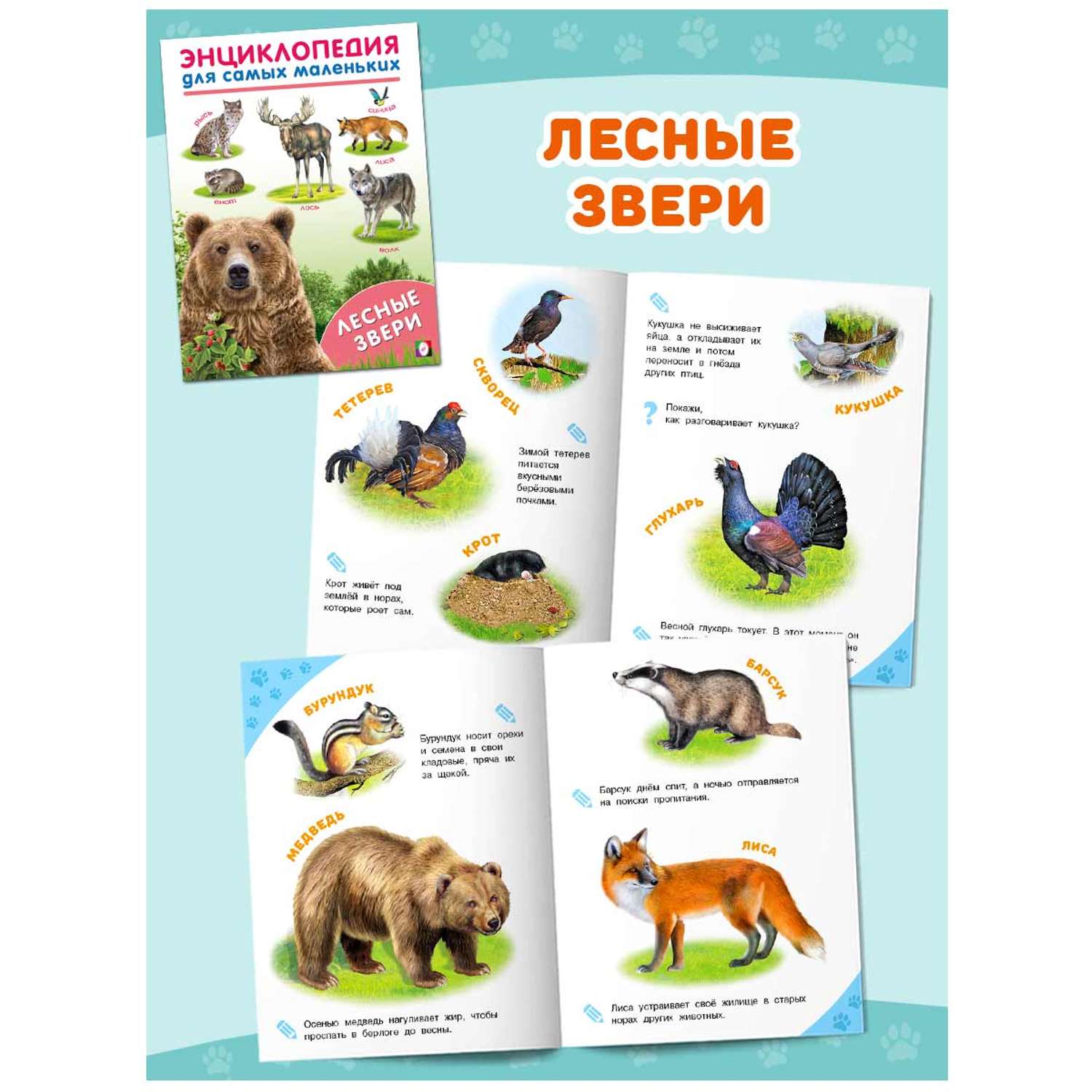 Энциклопедии Фламинго для детей и малышей Познавательные книги для раннего развития 3 шт. - фото 6