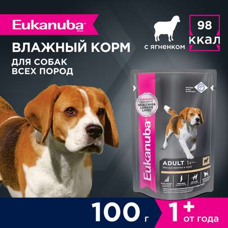 Корм для собак Eukanuba 100г с ягненком в соусе пауч