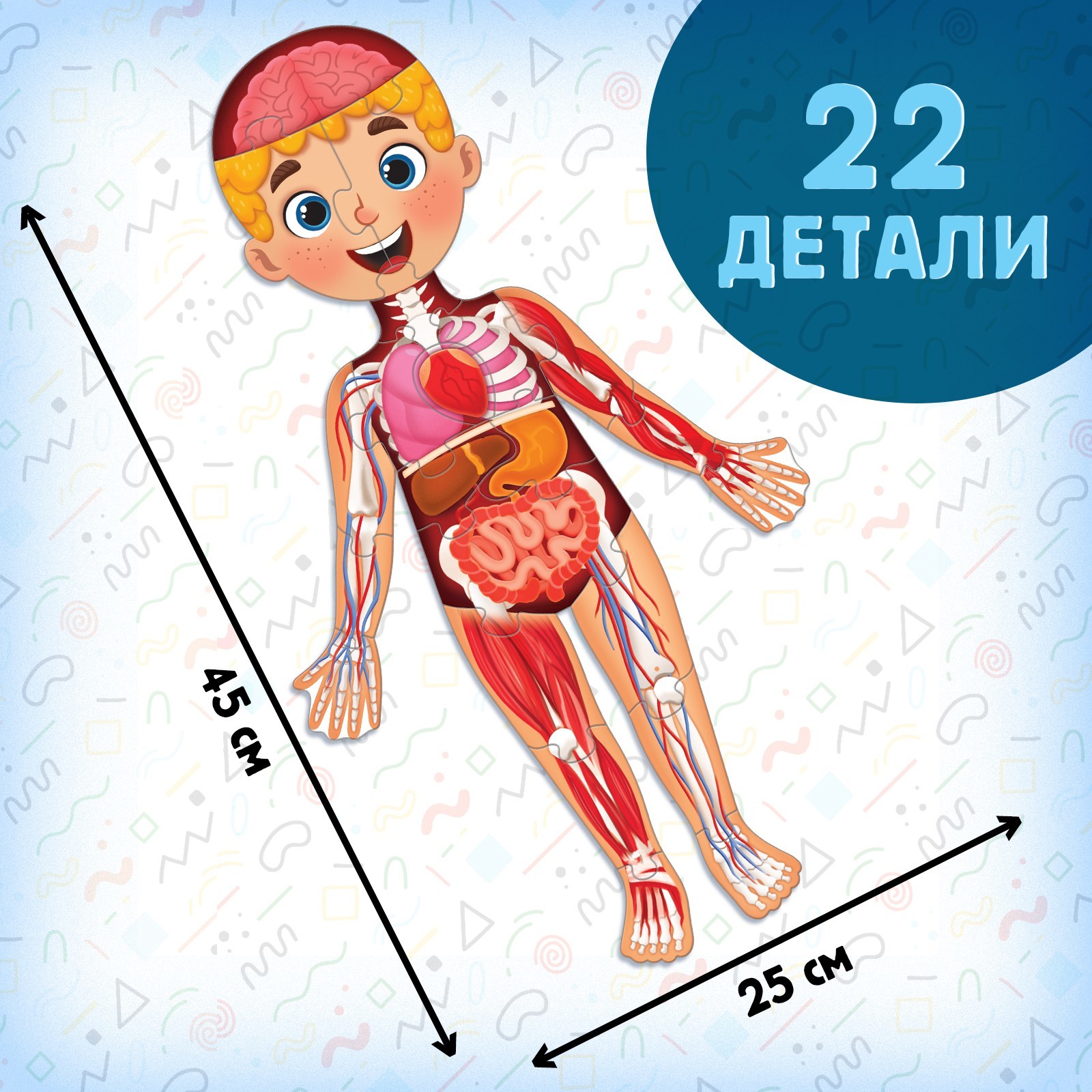 Набор обучающий Буква-ленд Моё тело мегапазл с обучающей книгой - фото 6