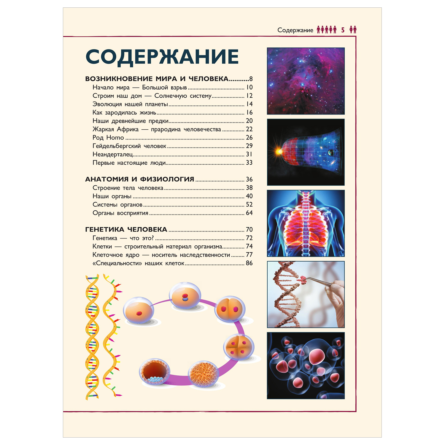 Энциклопедия для детей Аванта Человек