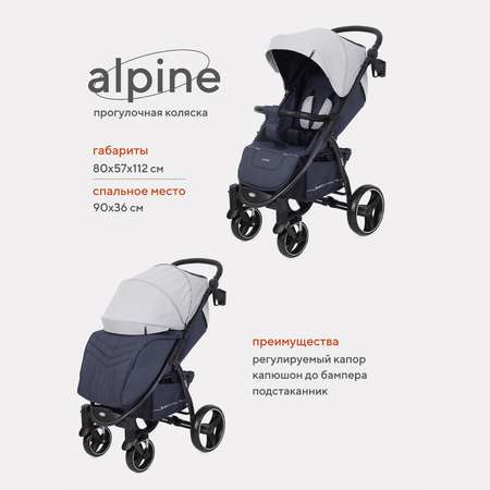 Коляска прогулочная Rant Basic Alpine Grey