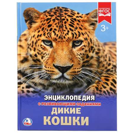 Книга Умка Дикие кошки Энциклопедия А4 с развивающими заданиями 255013